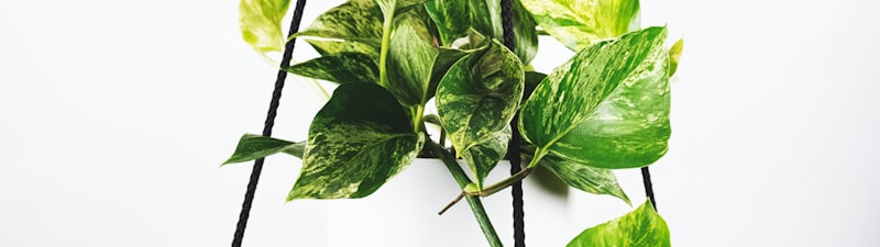 世界杯十佳进球集锦 - 倒钩、远射、任意球精彩瞬间